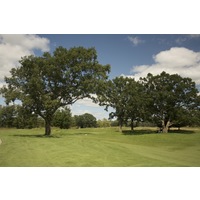 The third hole at Tullymore Golf Club is a short par 4 that is defended by two giant trees.