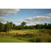 The 14th tee shot at Tullymore Golf Club requires a shot left or right of a tree splitting the fairway.